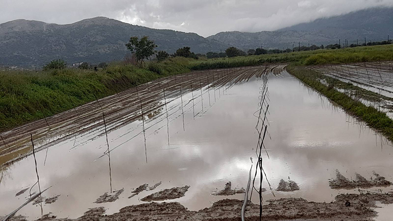 Κακοκαιρία εξπρές: Μετατράπηκαν σε λίμνες τα χωράφια στο Οροπέδιο Λασιθίου
